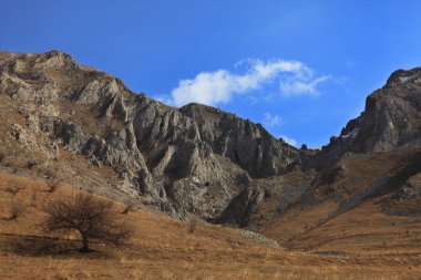 Trascau Mountains,Romania clipart