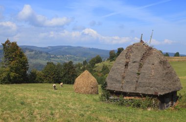 Transylvanian Landscape clipart