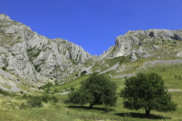 Landschaft im Trascau-Gebirge — Stockfoto