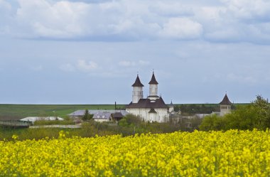 Moldova Manastırı