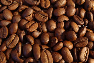 Coffee beans clipart