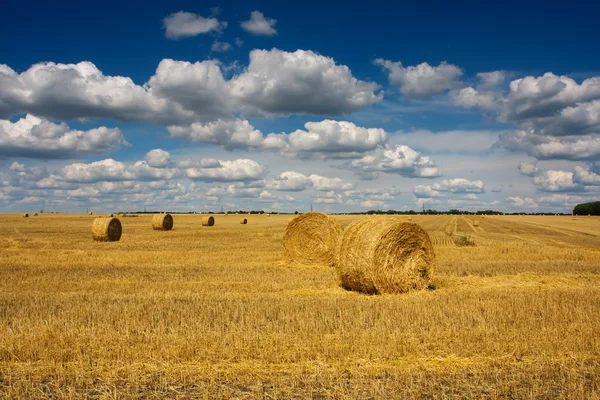 stock image Rural landscape