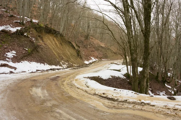 stock image Mountain road