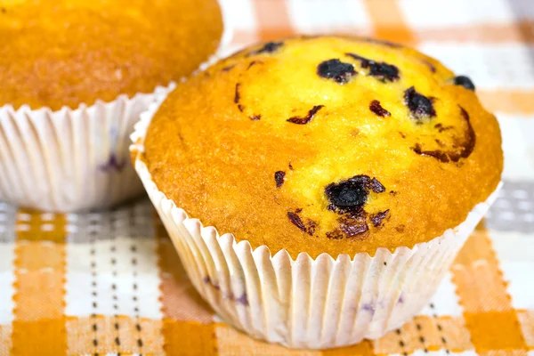 stock image Muffins