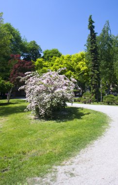 Şehir Parkı