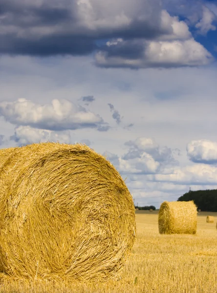 Round bale of straw — Stock Photo, Image