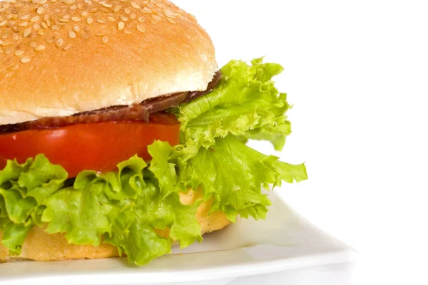 stock image Hamburger