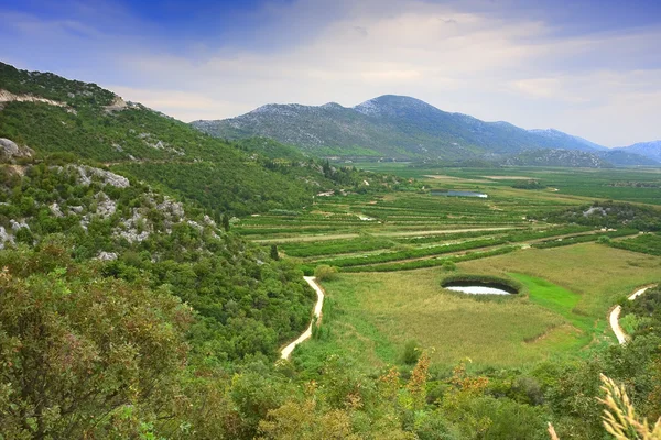 stock image Neretva Delta in Croatia