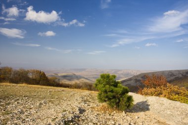 Sonbahar manzarası