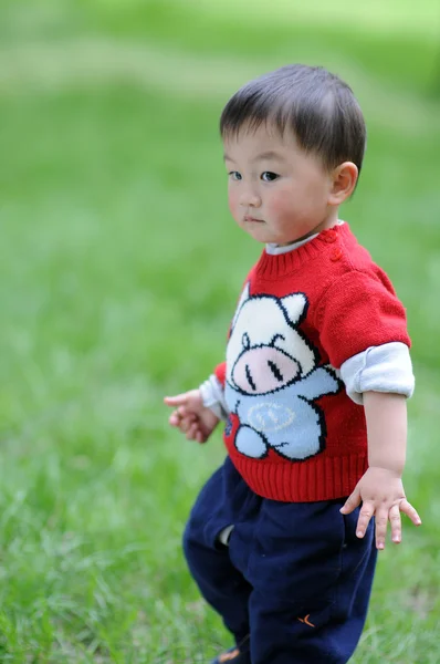 Cute boy — Stock Photo, Image