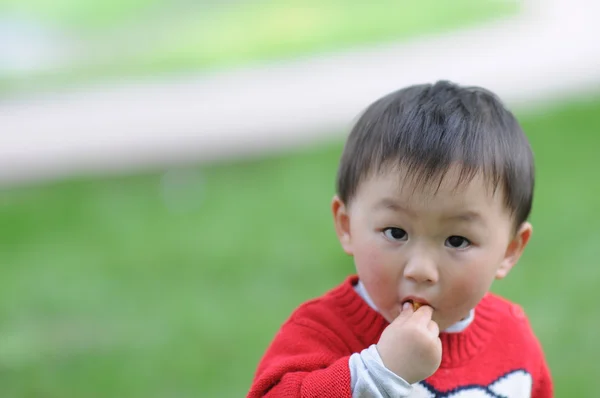 Cute boy eat something — Stock Photo, Image