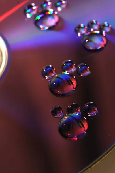 Water drops on cd background — Stock Photo, Image