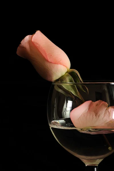 Rose in glass — Stock Photo, Image
