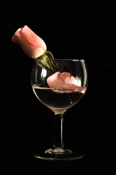 Rose im Glas Stockfoto