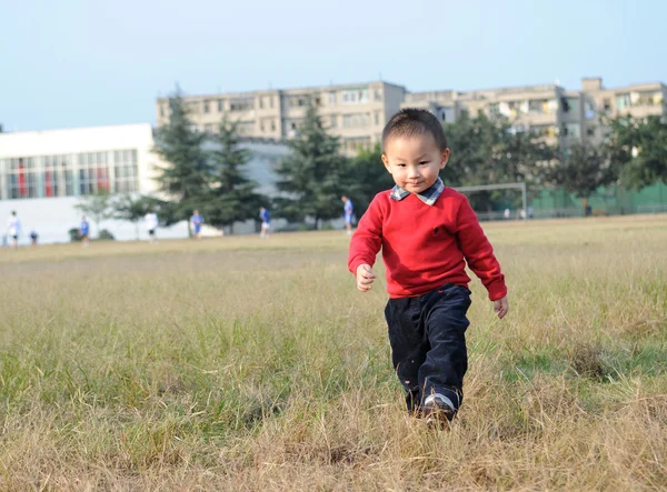Cute little boy on grass — Stock Photo, Image