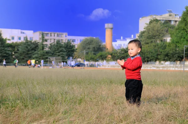 Söt liten pojke på gräs — Stockfoto