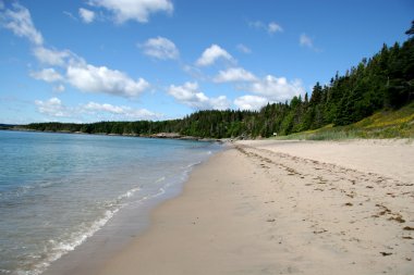 kırsal newfoundland kumlu plaj