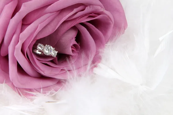 Ring in Rose — Stockfoto