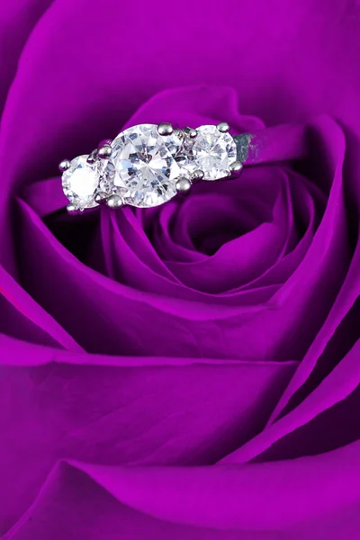 Anel de noivado em rosa rosa — Fotografia de Stock