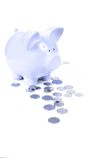 Blue Piggy Bank on white background — Stock Photo, Image