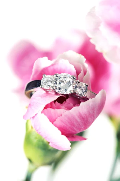 Flor rosa com anel — Fotografia de Stock