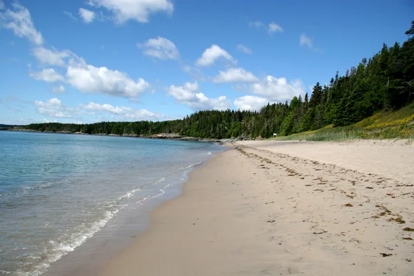 Piaszczysta plaża w wiejskich Nowej Fundlandii — Zdjęcie stockowe