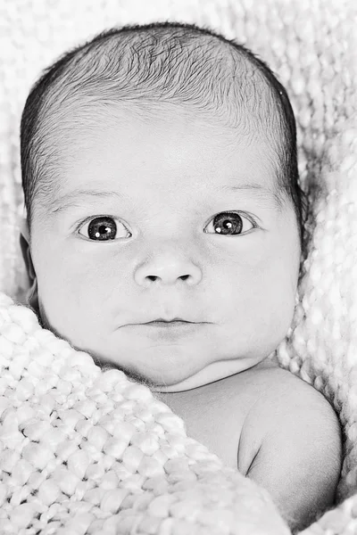 Newborn Baby — Stock Photo, Image