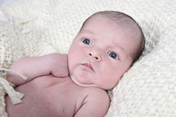 Bebé recién nacido —  Fotos de Stock