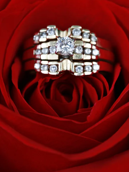 Wedding Ring in rose Stock Image