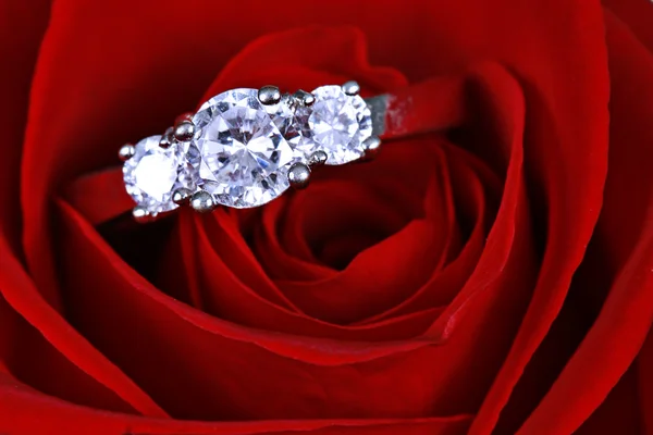Wedding Ring in Rose, Will you marry me? Stock Picture