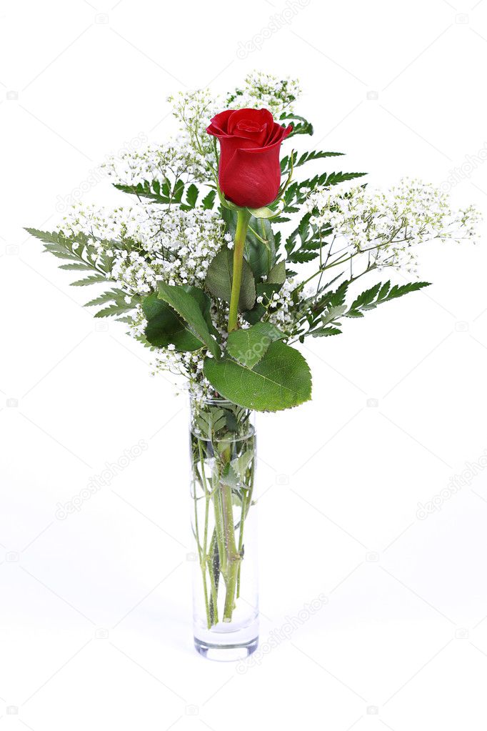 Red Rose in vase Isolated on white