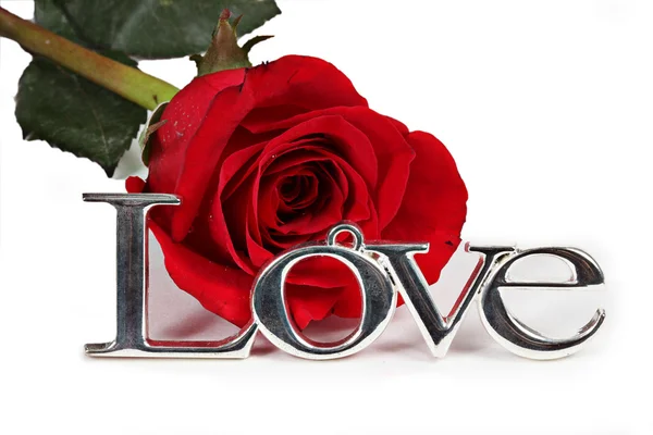 Vase med røde roser til Valentinsdag – stockfoto