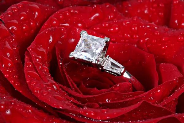 Біле золоте діамантове кільце в троянді — стокове фото