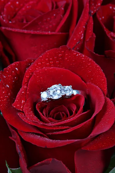 Diamantový prsten bílé zlato v rose — Stock fotografie