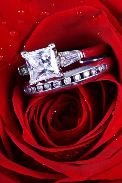 玫瑰白色黄金钻石戒指 图库图片