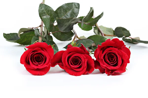 Tre rose rosse con foglie — Foto Stock