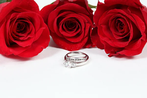 Drei rote Rosen auf weiß mit Ringen — Stockfoto
