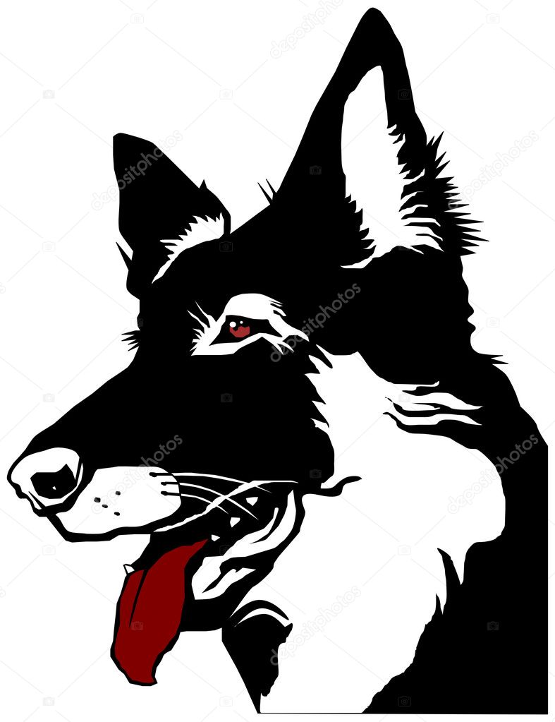 Head dog shepherd — Stock Vector © fpainter7 #1821588
