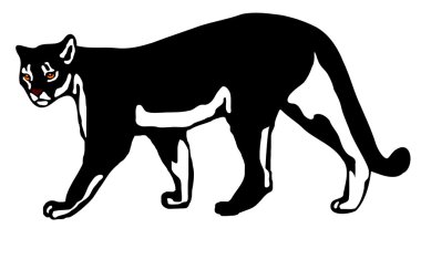 American mountain lion clipart