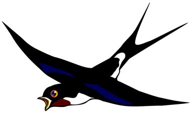 Swallow flying isolated clipart