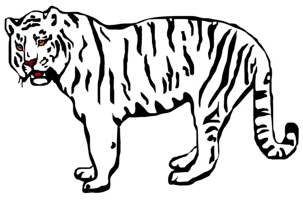 Tiger 2010 (panthera tigris altaica)) — Stockvektor