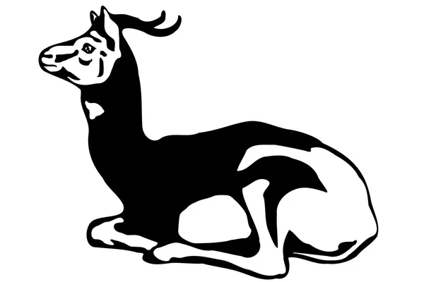Gazela (Gazella dama ) — Wektor stockowy