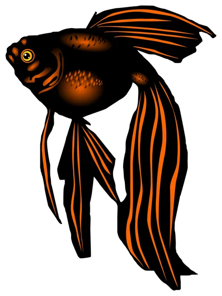 Aquarienfische "fantail" — Stockvektor