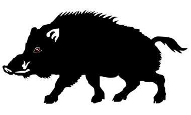 Wild boar on the white background clipart