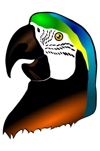 Tête de perroquet d'Ara — Image vectorielle