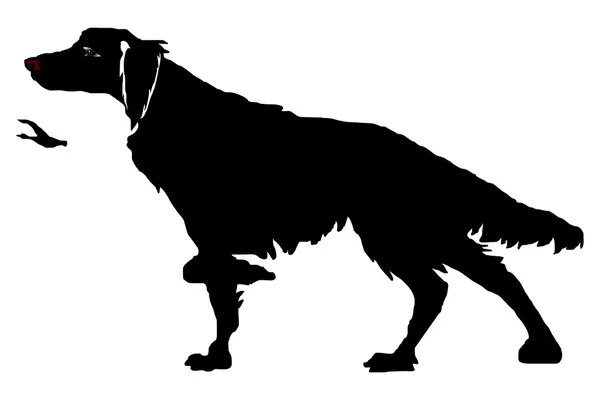 El perro de caza en un estante, una silueta — Archivo Imágenes Vectoriales