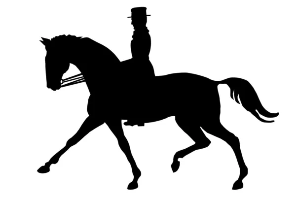 Le cavalier sur un cheval — Image vectorielle