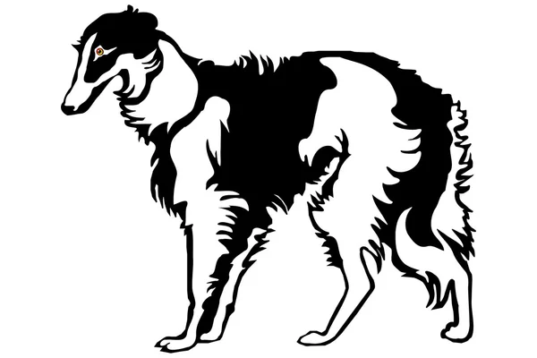 Pies borzoj — Wektor stockowy