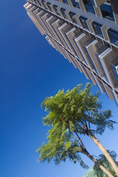Building and tree — Stock Photo, Image
