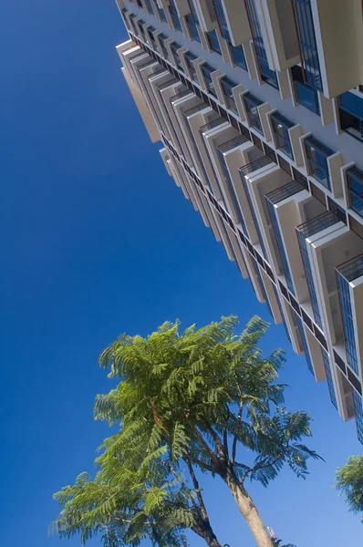 Gebäude und Baum — Stockfoto